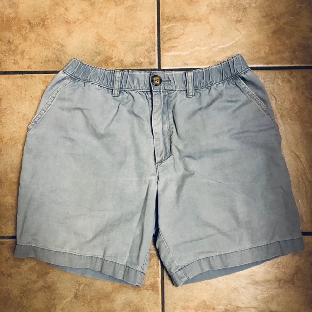 Men’s Chubbies Shorts